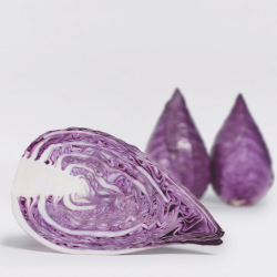 Kapusta Red Power (3661) f1 2500 nasion precyzja st